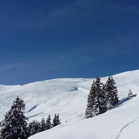 Hausberger * Alpbach